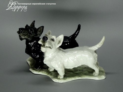 Купить фарфоровые статуэтки Rosenthal, Пара терьеров, Германия